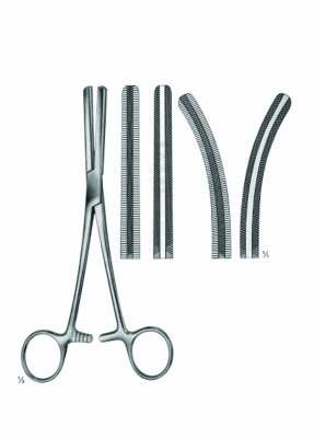 Haemorrhoidal Forceps